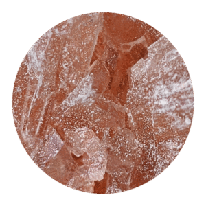 Pink Rhino Molly