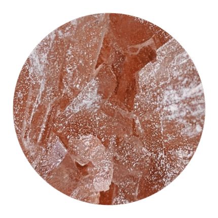 Pink Rhino Molly